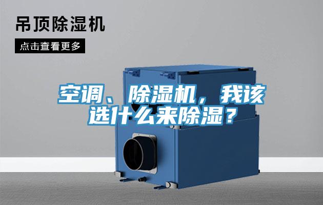 空调、猫咪成人官网，我该选什么来除湿？