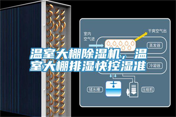 温室大棚猫咪成人官网，温室大棚排湿快控湿准