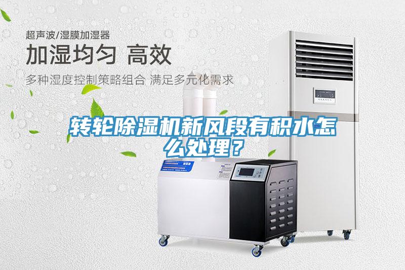 转轮猫咪成人官网新风段有积水怎么处理？