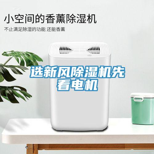 选新风猫咪成人官网先看电机