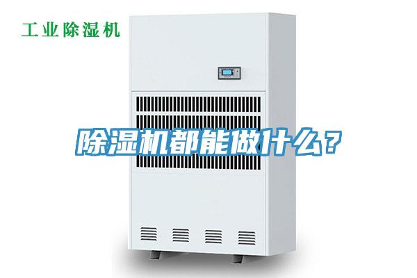 猫咪成人官网都能做什么？