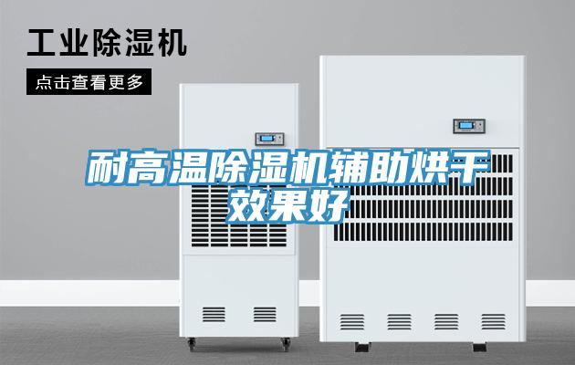 耐高温猫咪成人官网辅助烘干效果好