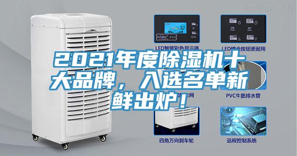 2021年度猫咪成人官网十大品牌，入选名单新鲜出炉！