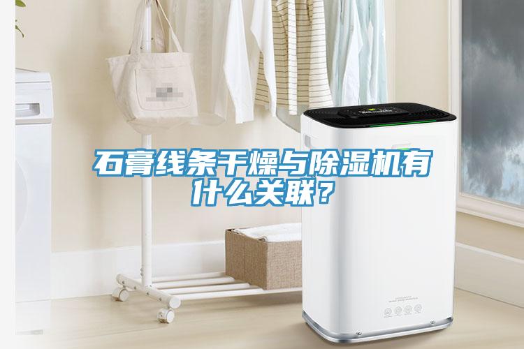石膏线条干燥与猫咪成人官网有什么关联？