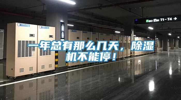 一年总有那么几天，猫咪成人官网不能停！