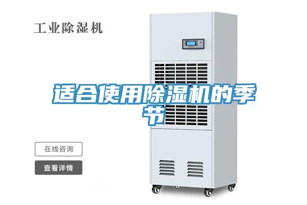 适合使用猫咪成人官网的季节