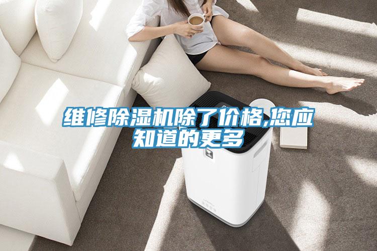 维修猫咪成人官网除了价格,您应知道的更多
