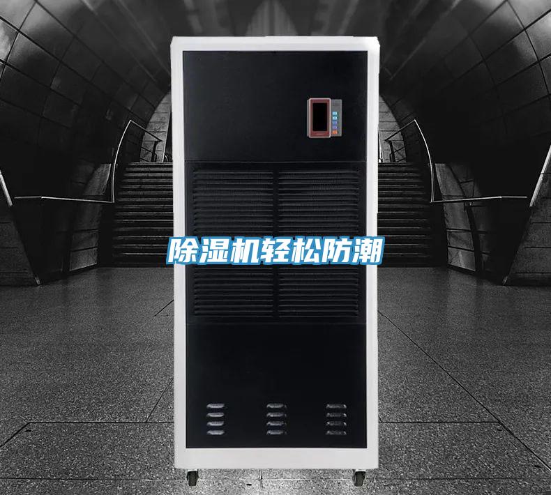 猫咪成人官网轻松防潮