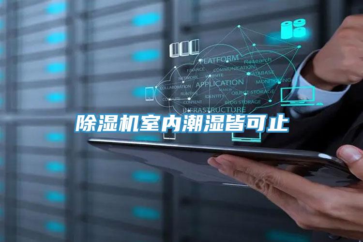 猫咪成人官网室内潮湿皆可止