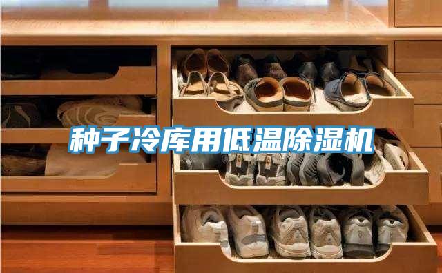 种子冷库用低温猫咪成人官网