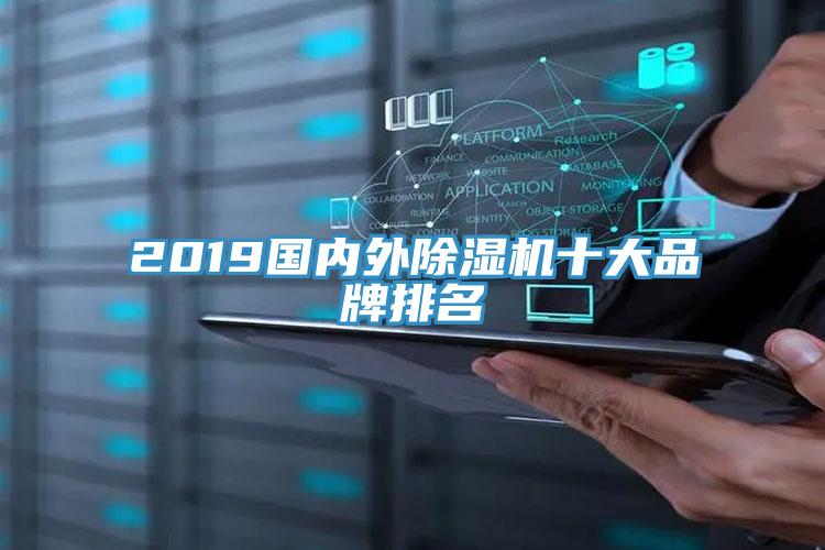 2019国内外猫咪成人官网十大品牌排名