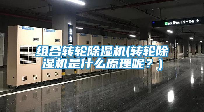 组合转轮猫咪成人官网(转轮猫咪成人官网是什么原理呢？)