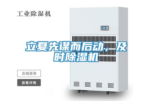 立夏先谋而后动，及时猫咪成人官网