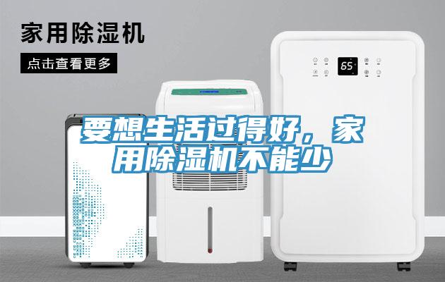 要想生活过得好，家用猫咪成人官网不能少