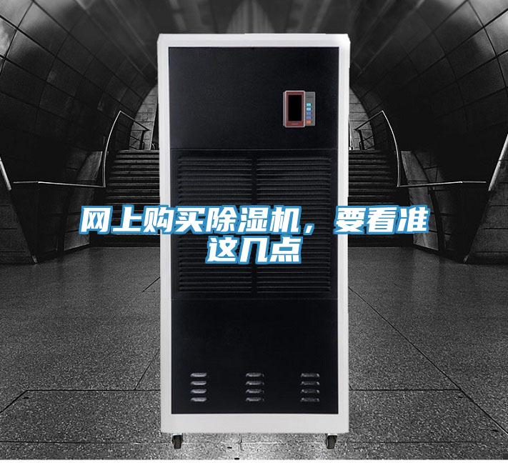 网上购买猫咪成人官网，要看准这几点