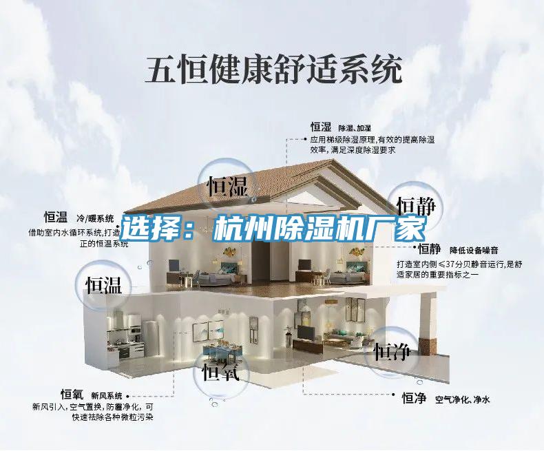 选择：杭州猫咪成人官网厂家