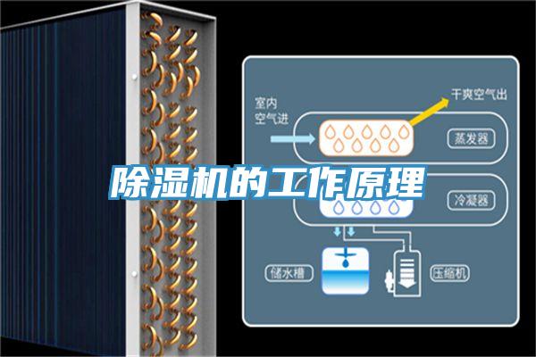 猫咪成人官网的工作原理