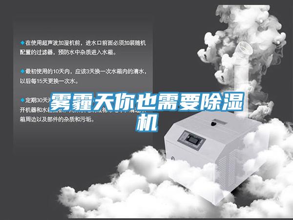 雾霾天你也需要猫咪成人官网