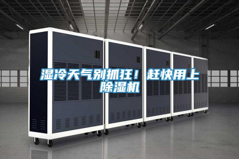 湿冷天气别抓狂！赶快用上猫咪成人官网