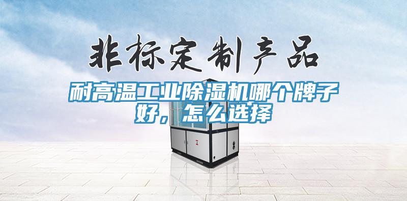 耐高温工业猫咪成人官网哪个牌子好，怎么选择