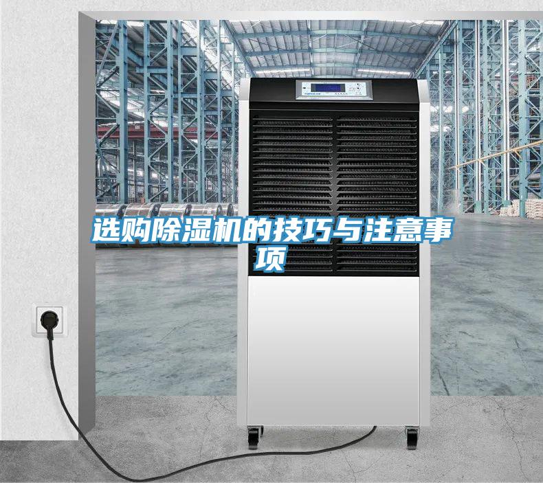 选购猫咪成人官网的技巧与注意事项