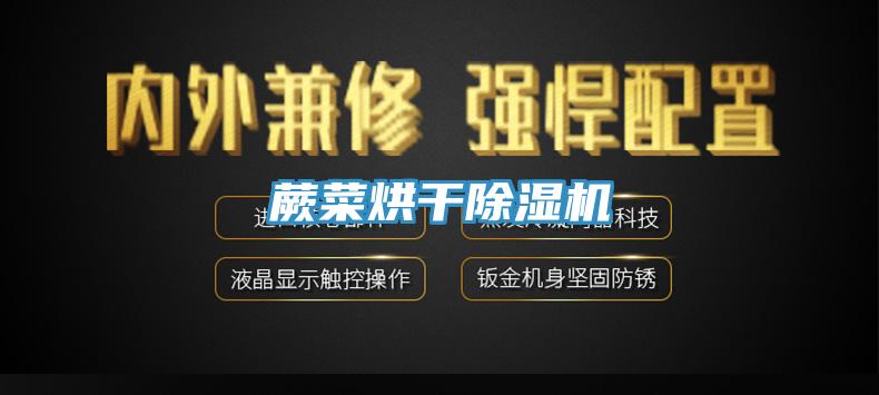 蕨菜烘干猫咪成人官网