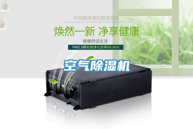 空气猫咪成人官网