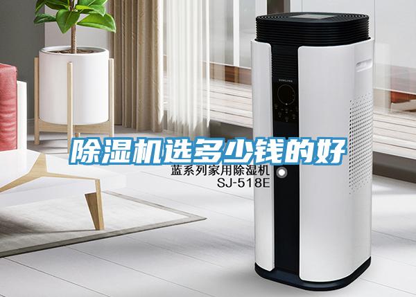 猫咪成人官网选多少钱的好