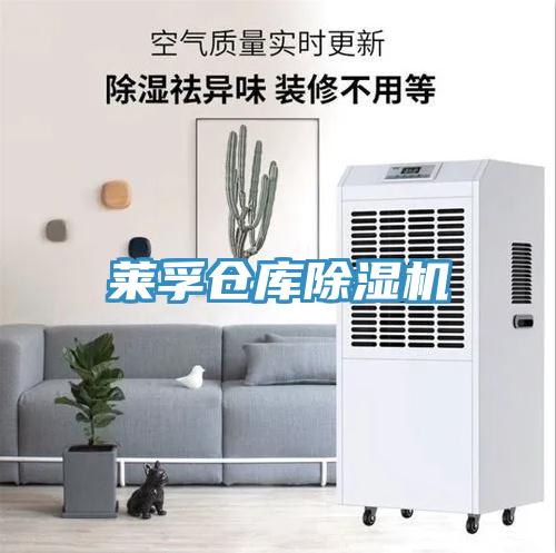 莱孚仓库猫咪成人官网