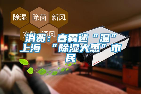 消费：春雾迷“湿”上海 “除湿大惠”市民