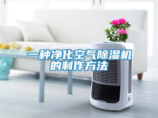 一种净化空气猫咪成人官网的制作方法