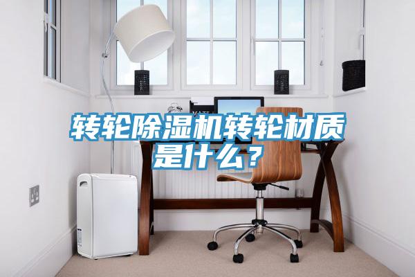 转轮猫咪成人官网转轮材质是什么？