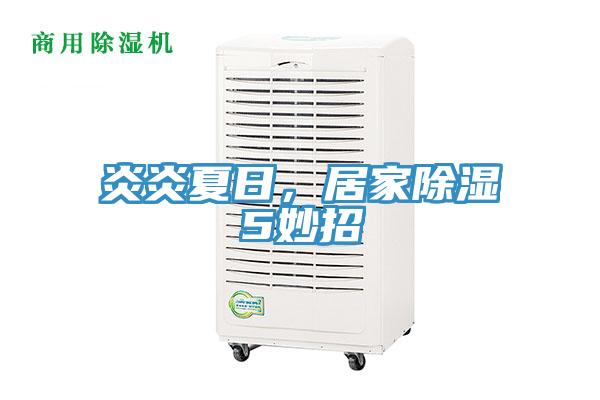 炎炎夏日，居家除湿5妙招