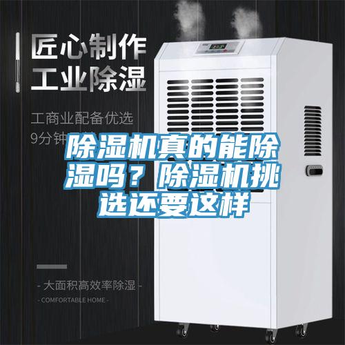 猫咪成人官网真的能除湿吗？猫咪成人官网挑选还要这样