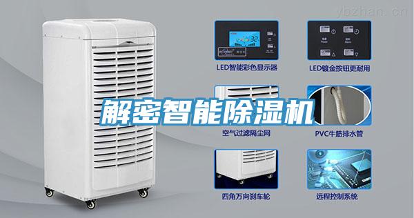 解密智能猫咪成人官网