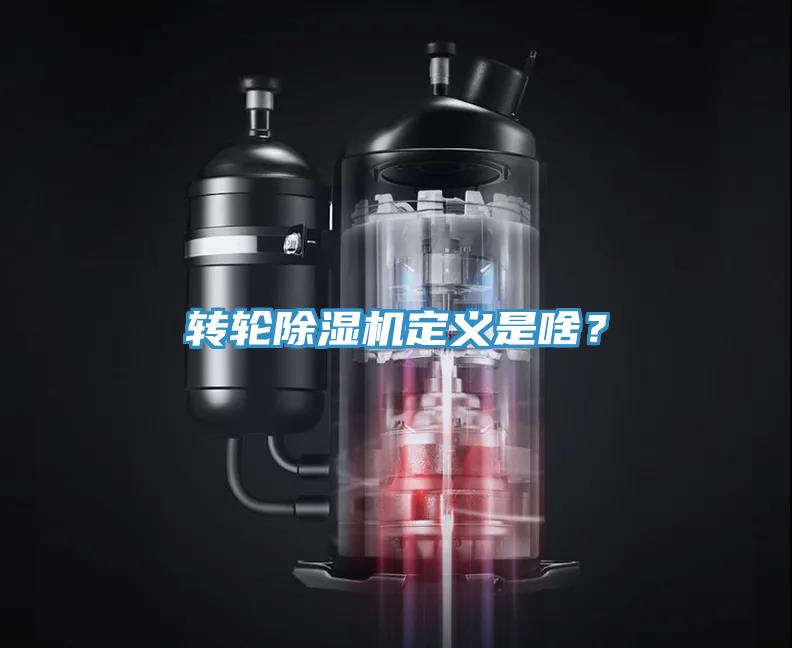 转轮猫咪成人官网定义是啥？