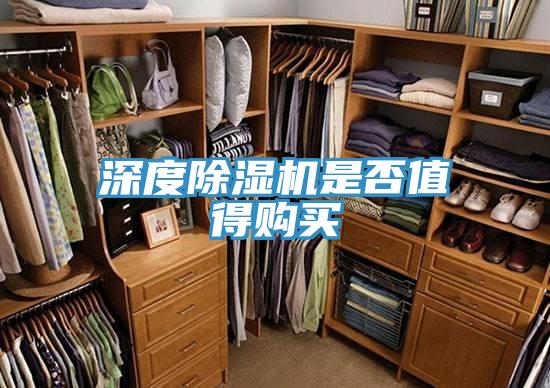 深度猫咪成人官网是否值得购买