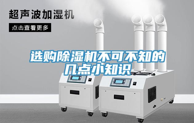选购猫咪成人官网不可不知的几点小知识