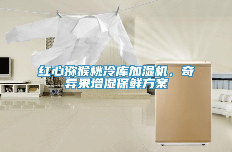 红心猕猴桃冷库加湿机，奇异果增湿保鲜方案
