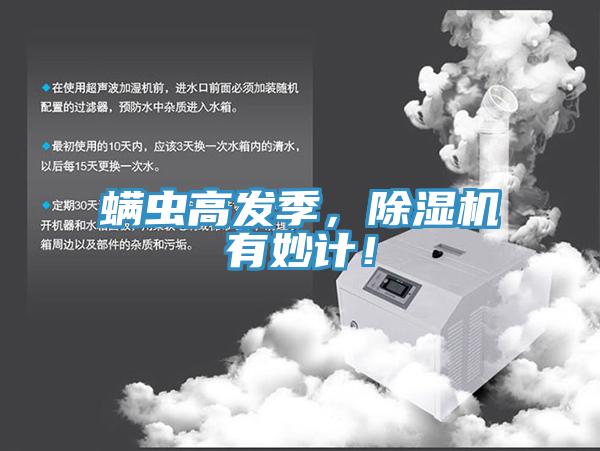 螨虫高发季，猫咪成人官网有妙计！