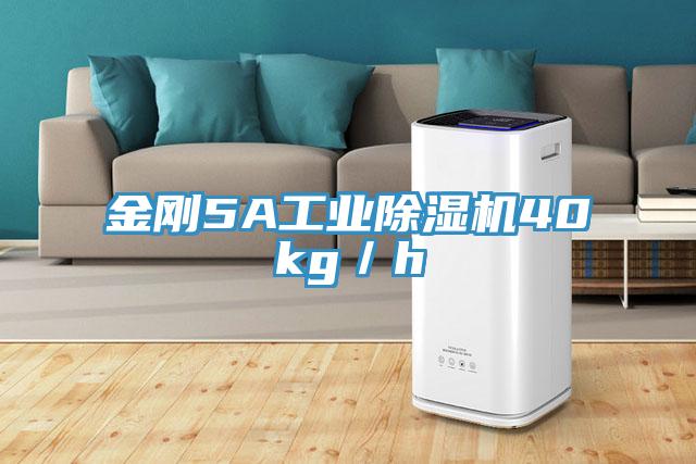 金刚5A工业猫咪成人官网40kg／h