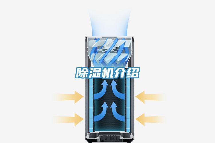 猫咪成人官网介绍