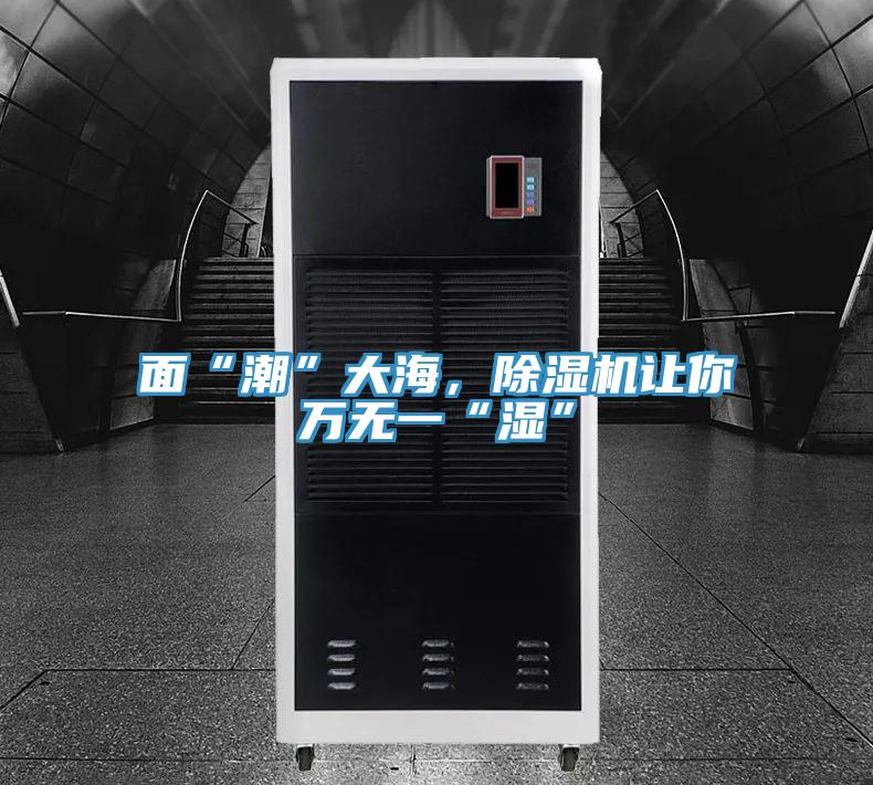 面“潮”大海，猫咪成人官网让你万无一“湿”