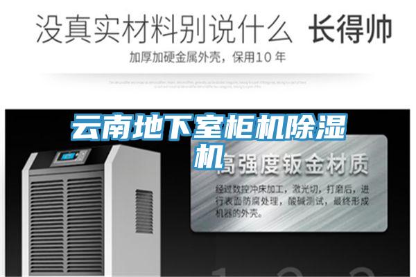 云南地下室柜机猫咪成人官网
