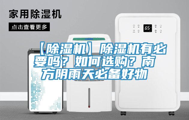 【猫咪成人官网】猫咪成人官网有必要吗？如何选购？南方阴雨天必备好物