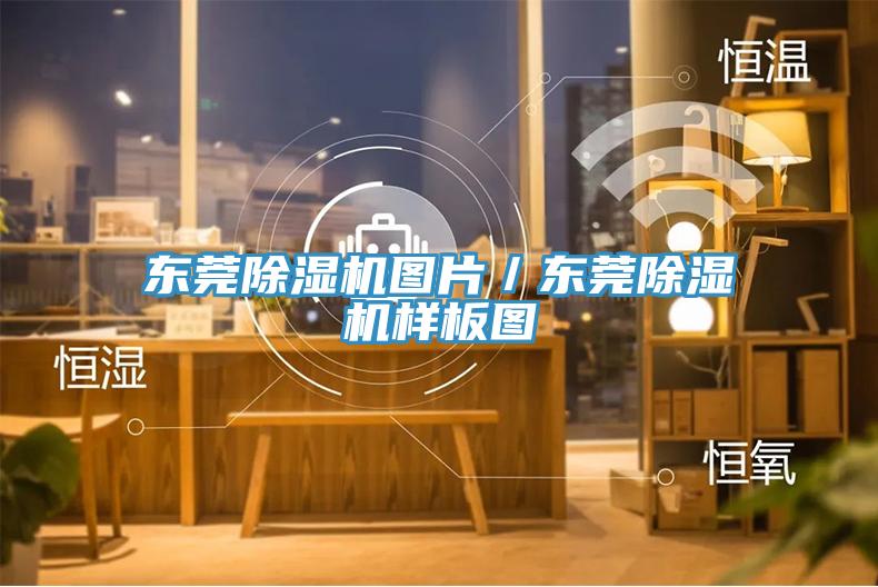 东莞猫咪成人官网图片／东莞猫咪成人官网样板图