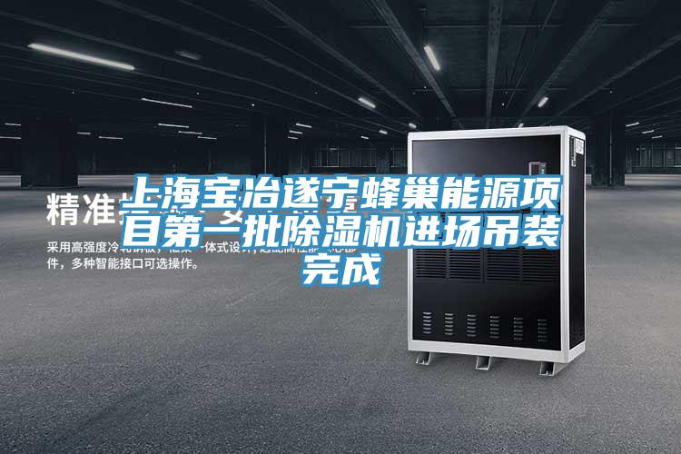 上海宝冶遂宁蜂巢能源项目第一批猫咪成人官网进场吊装完成