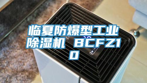 临夏防爆型工业猫咪成人官网 BCFZ10