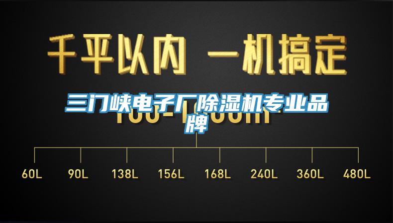三门峡电子厂猫咪成人官网专业品牌