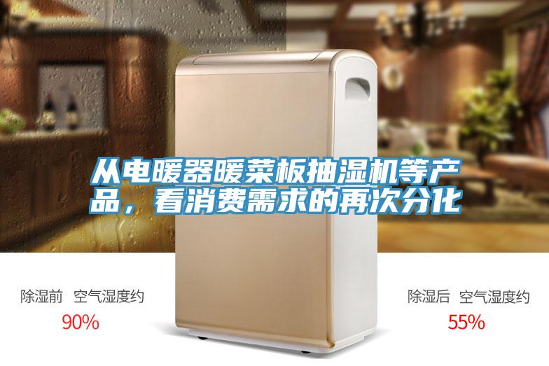 从电暖器暖菜板抽湿机等产品，看消费需求的再次分化